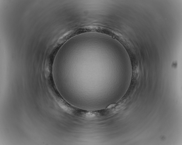 X0000094180566200710261134