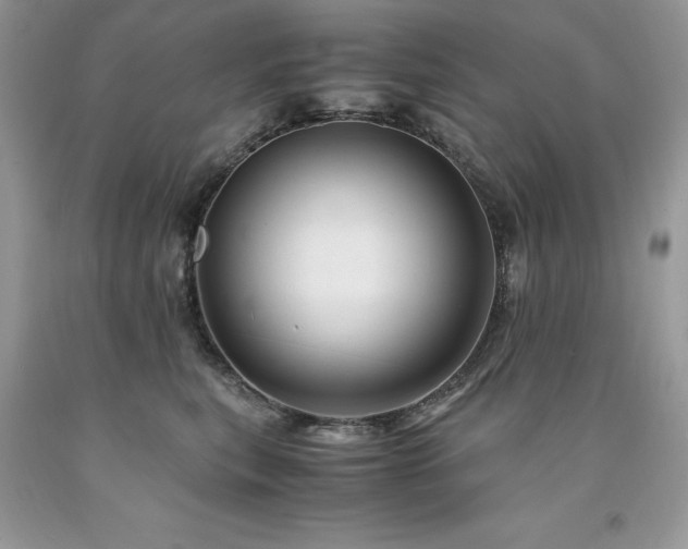X0000094180567200710261134