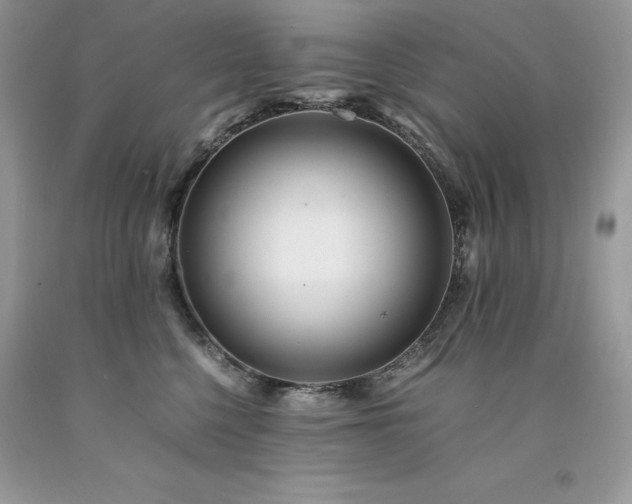 X0000094180568200710261134