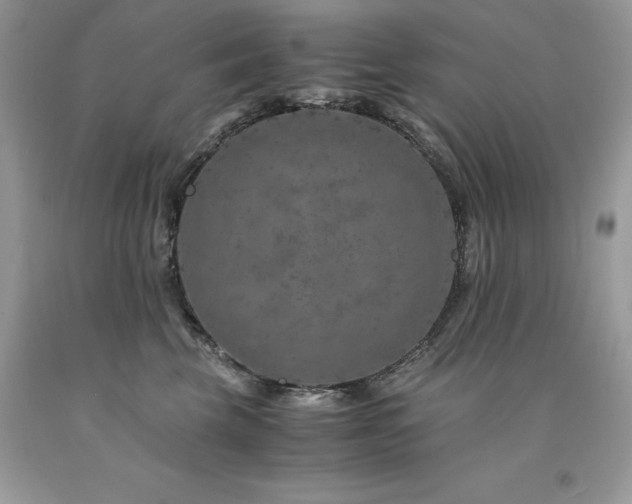 X0000094180569200710261134