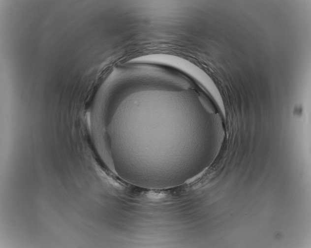X0000094180570200710261134