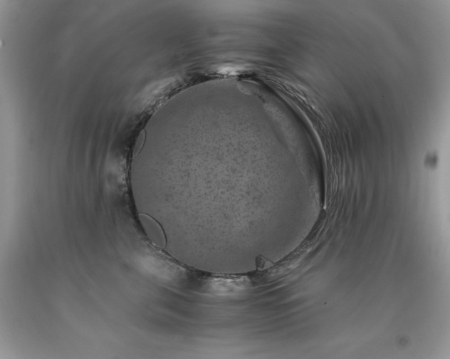 X0000094180571200710261134