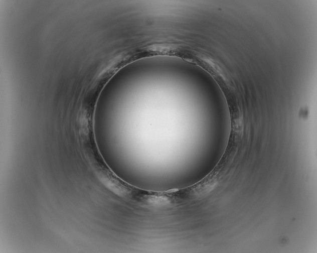 X0000094180572200710261134