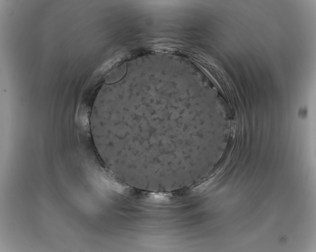 X0000094180573200710261134