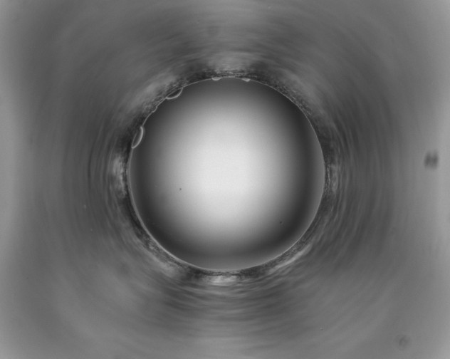X0000094180575200710261134