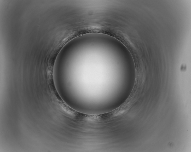 X0000094180576200710261134