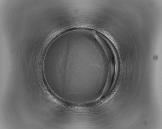 X0000094180577200710261133