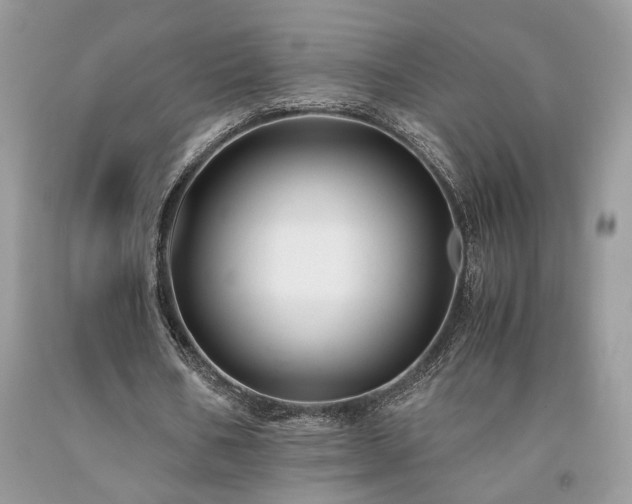X0000094180578200710261133