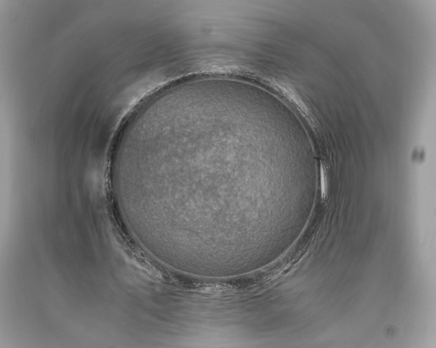 X0000094180579200710261133