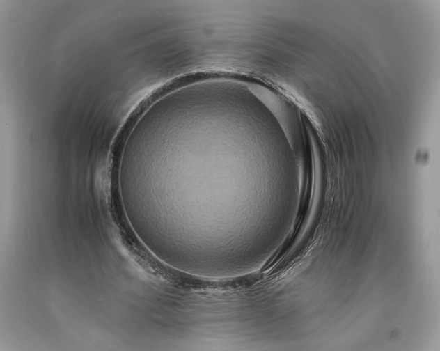 X0000094180580200710261133