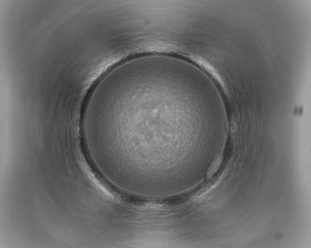 X0000094180581200710261133