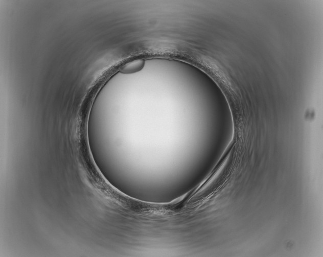 X0000094180583200710261133