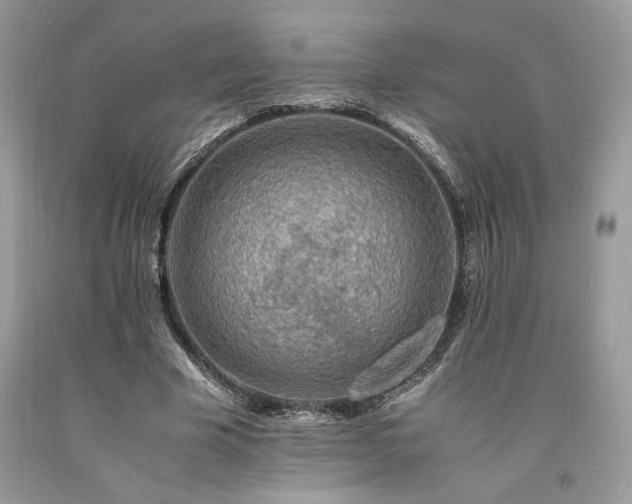 X0000094180585200710261133