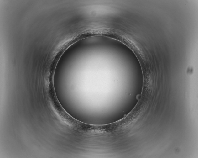 X0000094180586200710261133