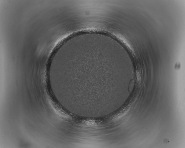 X0000094180588200710261133