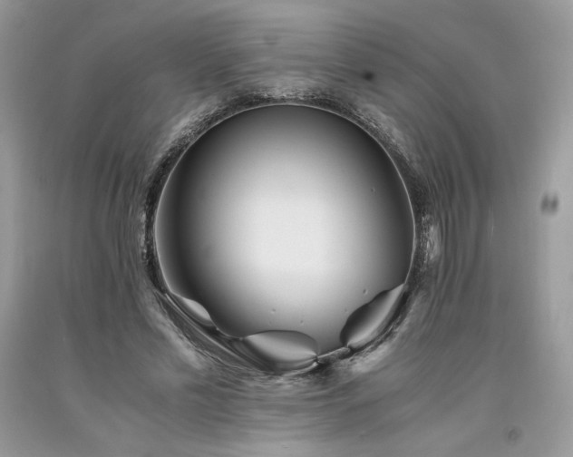 X0000094180589200710261133