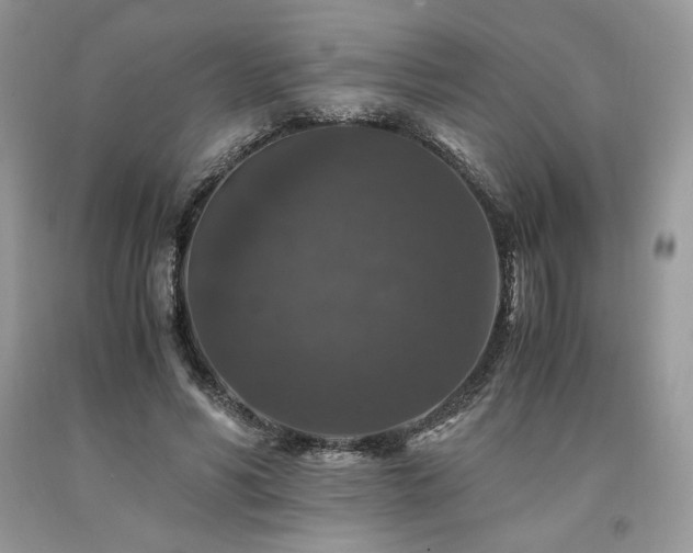 X0000094180590200710261133