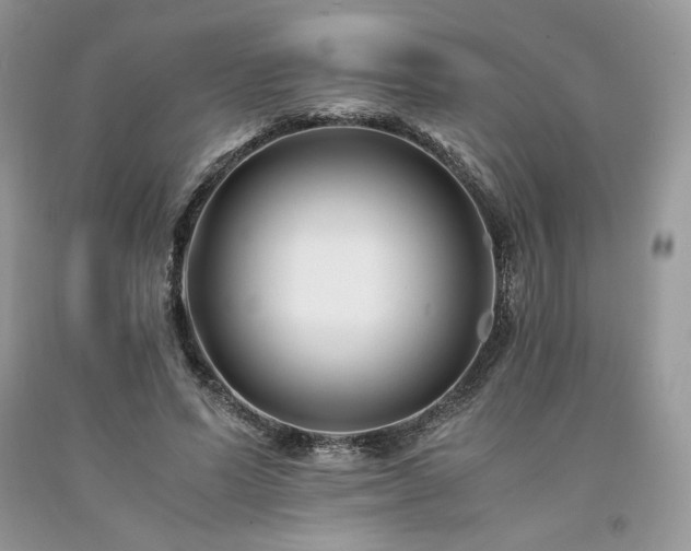 X0000094180591200710261133