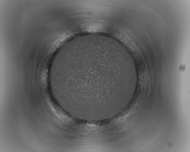 X0000094180592200710261133