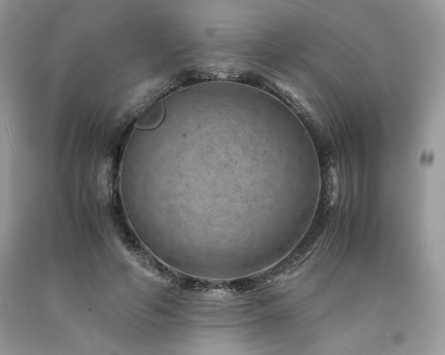 X0000094180594200710261133