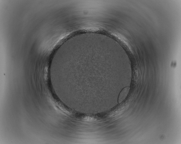 X0000094180596200710261133