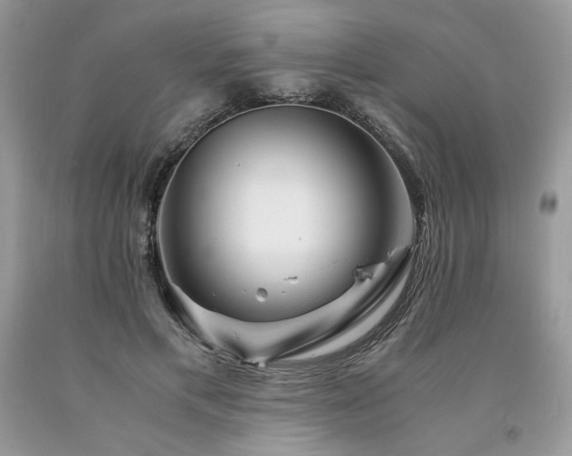 X0000094180597200710261133