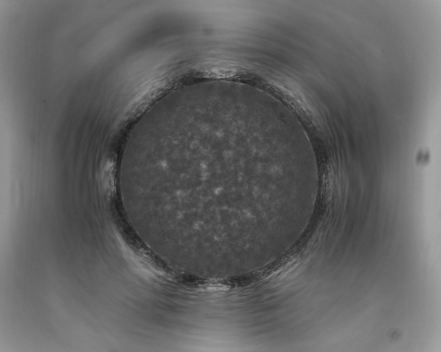X0000094180598200710261133