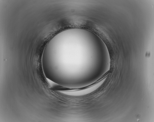 X0000094180599200710261133