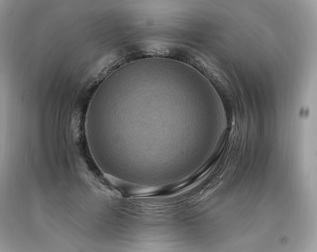 X0000094180600200710261133