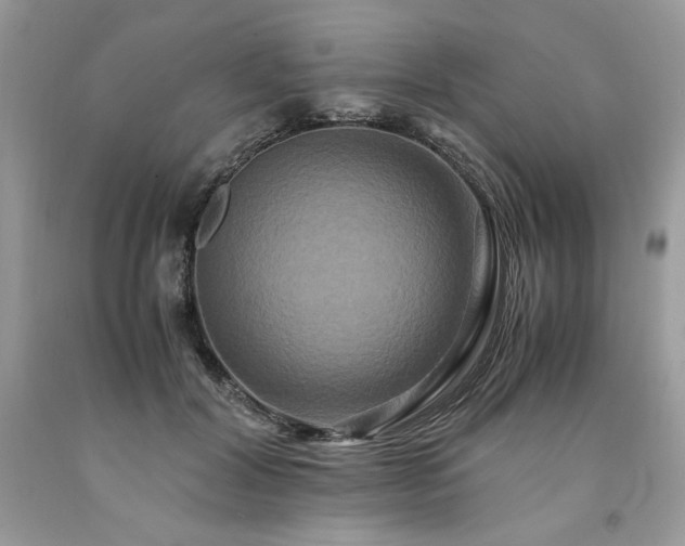 X0000094180604200710261133