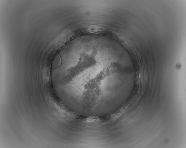 X0000094180606200710261133
