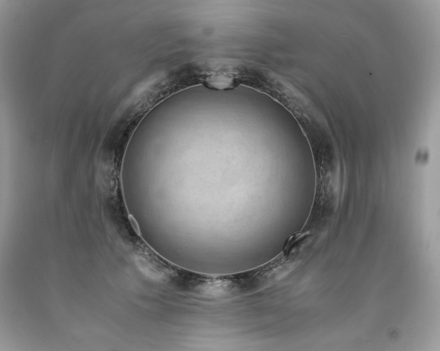 X0000094180609200710261133