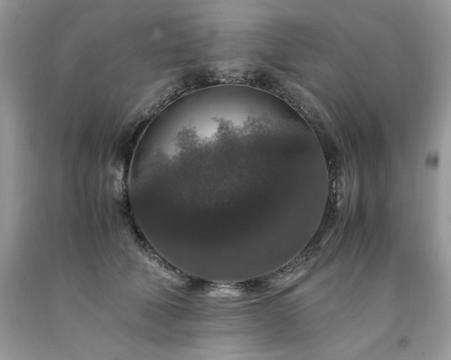 X0000094180610200710261133