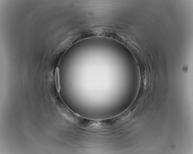X0000094180611200710261133