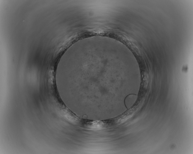 X0000094180612200710261133