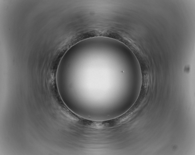 X0000094180613200710261133