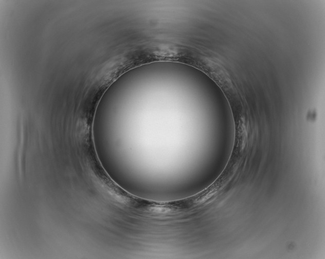 X0000094180614200710261133