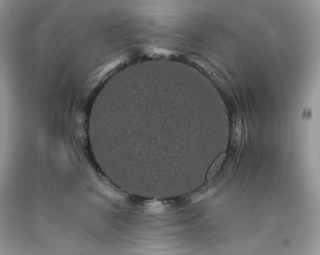 X0000094180616200710261133