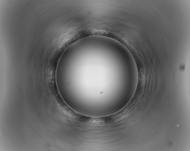 X0000094180619200710261133