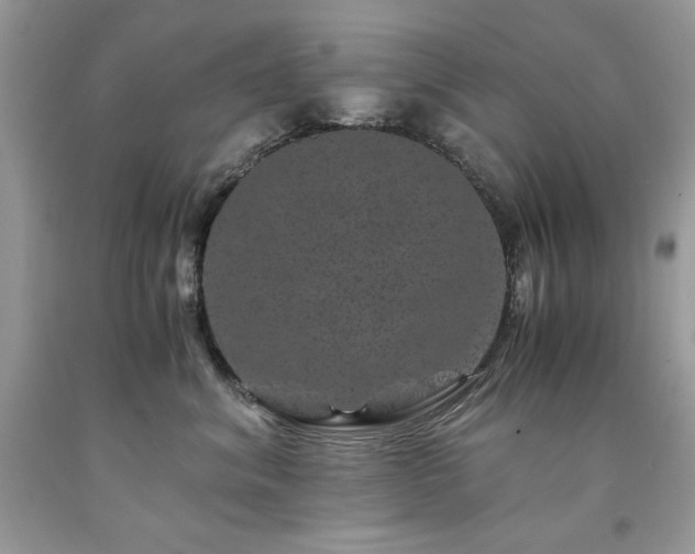 X0000094180620200710261133