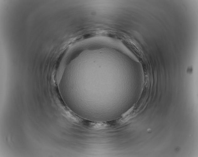 X0000094180621200710261133
