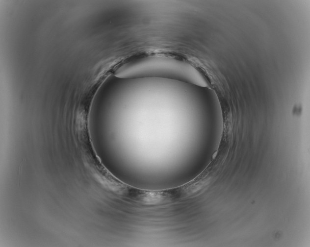 X0000094180623200710261133