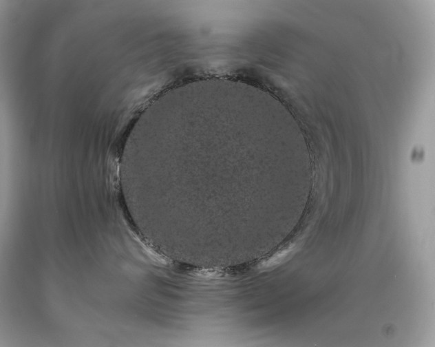 X0000094180624200710261133