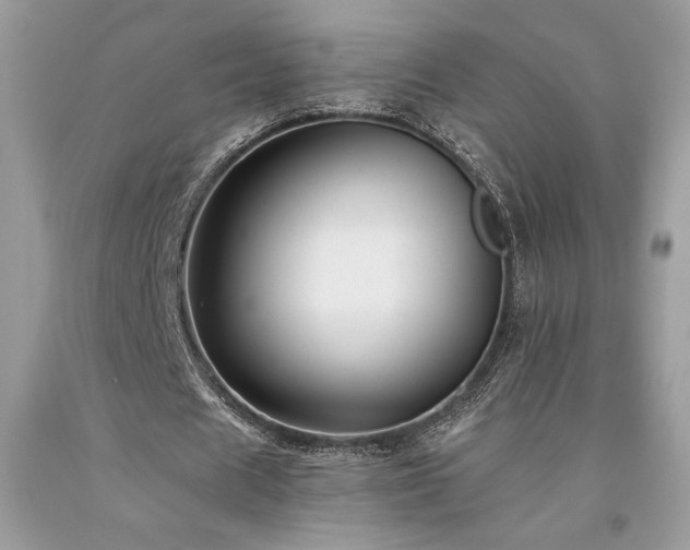 X0000094180625200710261132