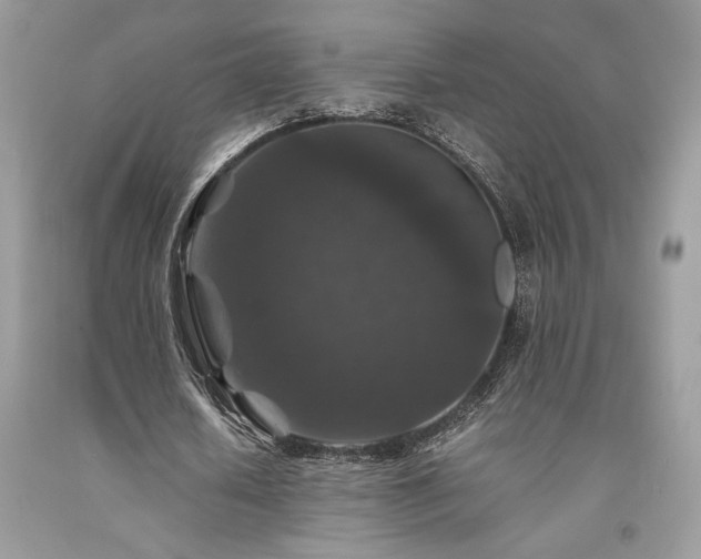 X0000094180626200710261132