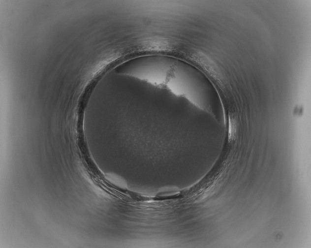 X0000094180627200710261132