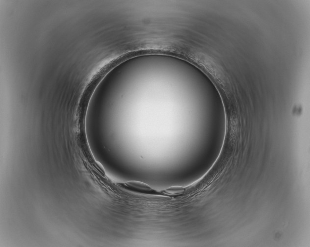 X0000094180628200710261132