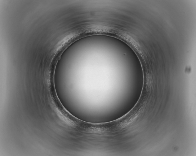 X0000094180629200710261132