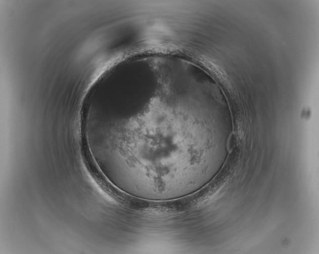 X0000094180630200710261132
