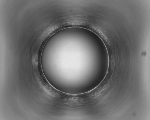 X0000094180631200710261132
